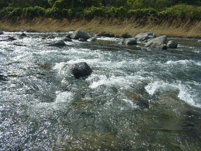 f0103126_19573042.jpg