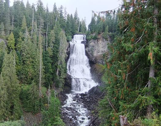 f0111926_14165731.jpg