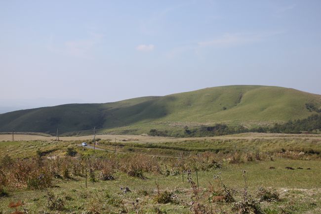 d0148729_2017097.jpg