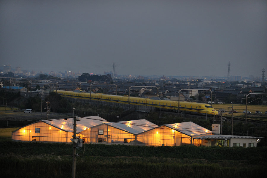 d0176437_21451273.jpg