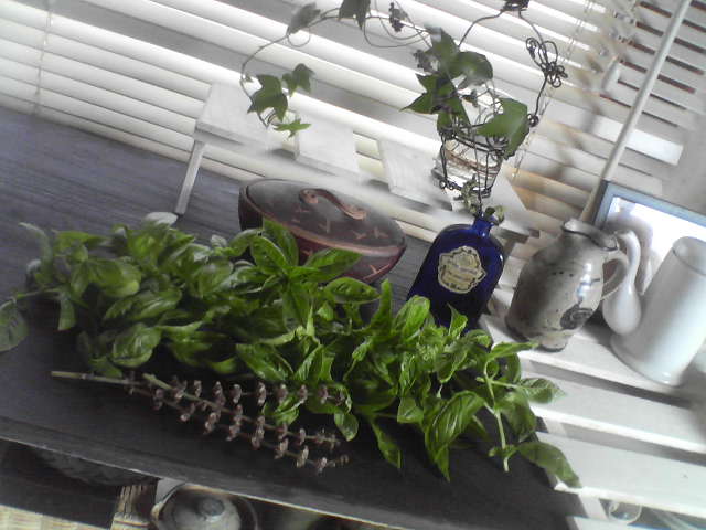 f0237037_1029508.jpg