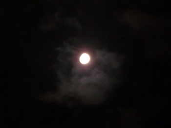 e0110940_2334779.jpg