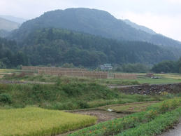 d0179044_1932719.jpg
