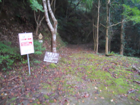 a0206345_17472961.jpg