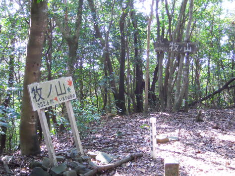 a0206345_18141254.jpg