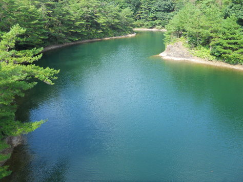 a0206345_1841281.jpg