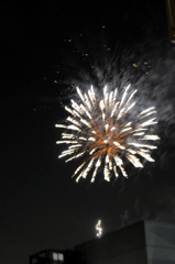 e0005548_150114.jpg