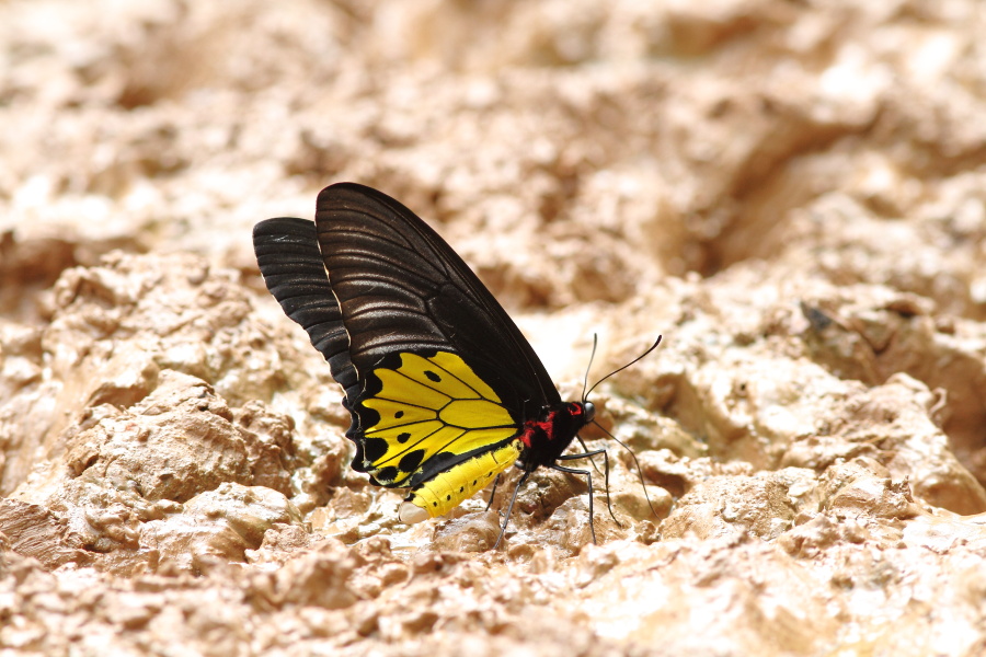 a0094850_191357100.jpg