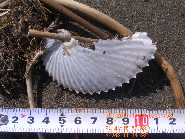 a0157451_21413219.jpg