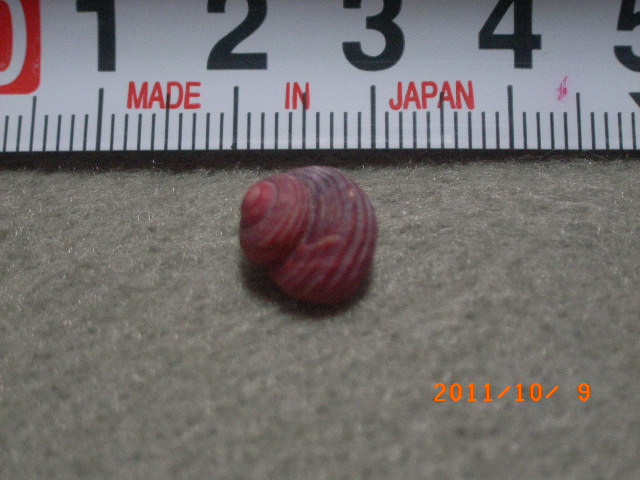 a0157451_21465069.jpg