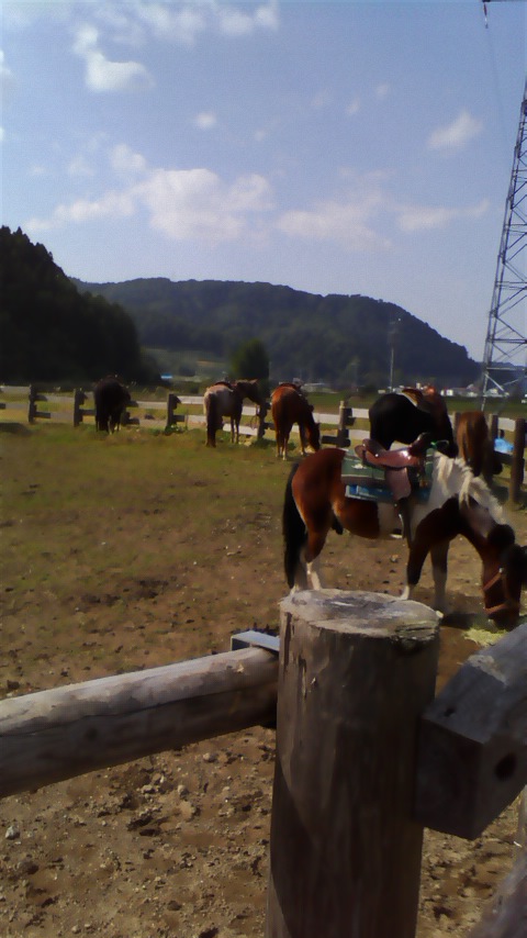 d0232151_22343455.jpg