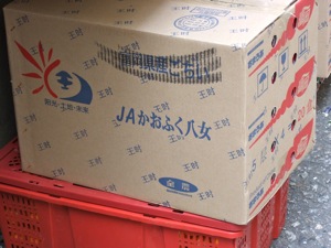 f0190653_2246588.jpg