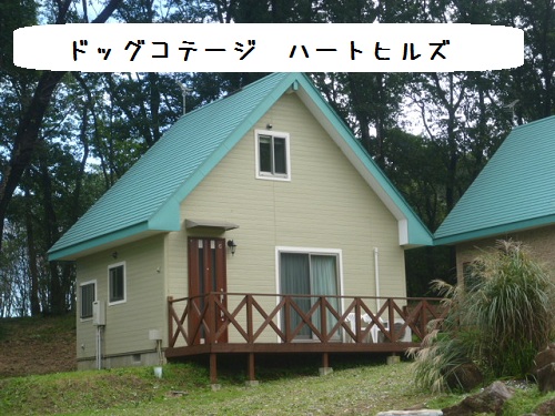 a0166954_2343420.jpg
