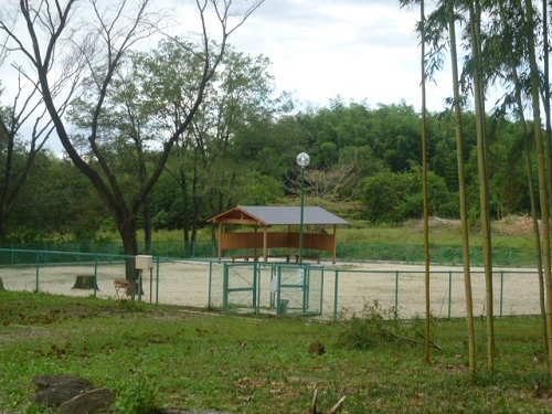 a0166954_23505031.jpg