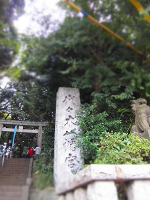 d0158258_17415358.jpg