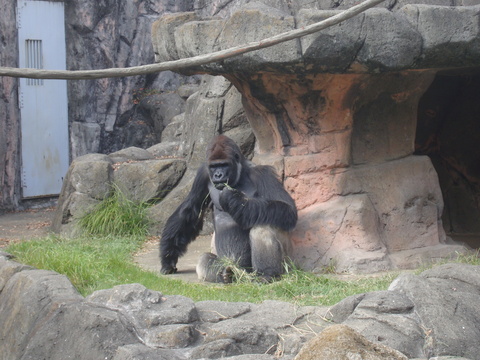 d0065459_1025387.jpg
