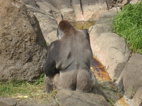 d0065459_1026513.jpg