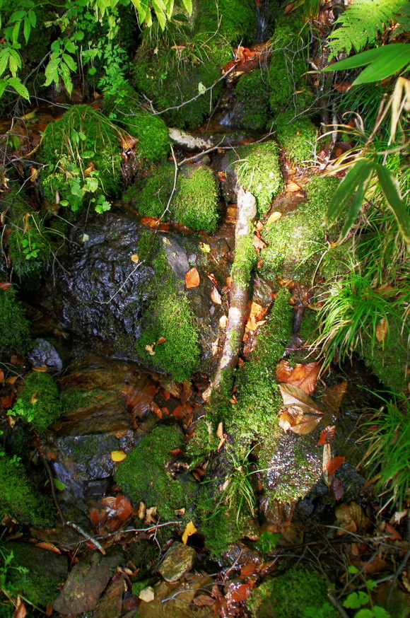 a0196565_1617760.jpg