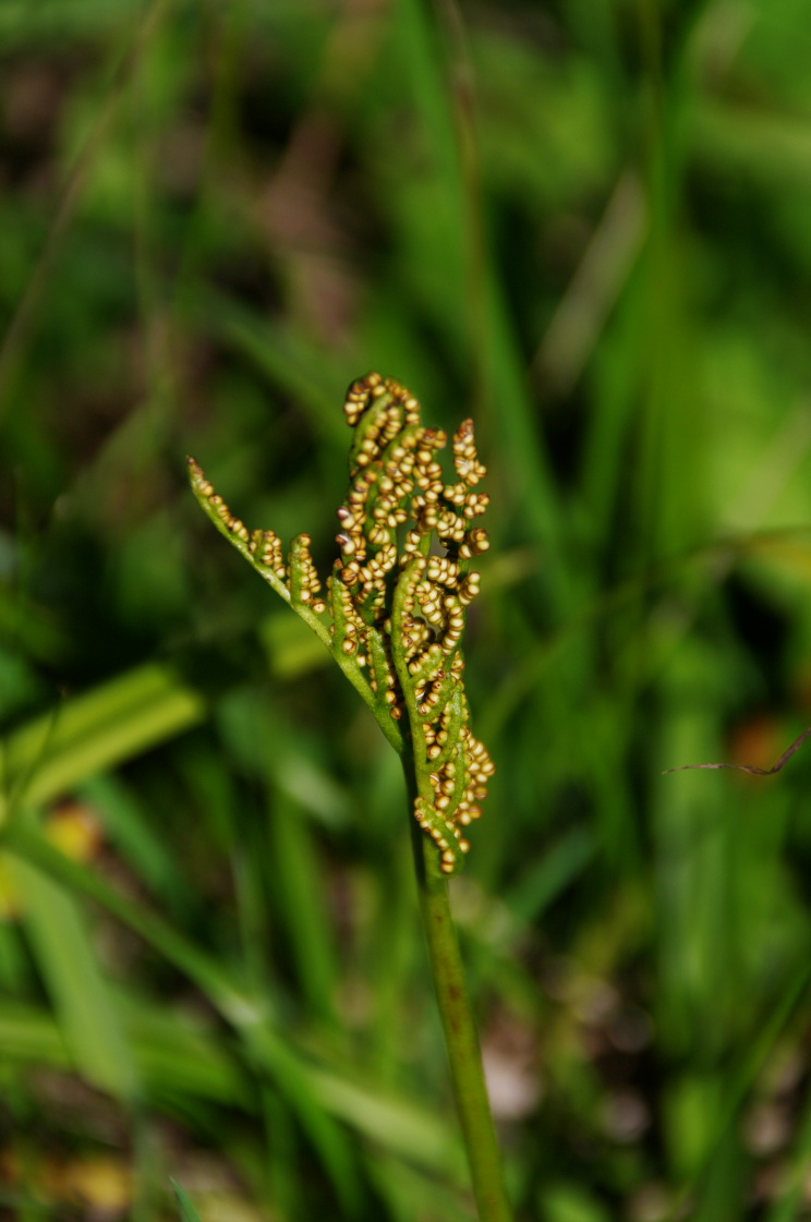a0196565_1624735.jpg