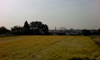 f0235167_130244.jpg