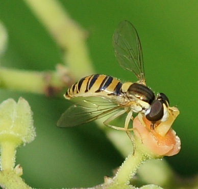 b0070071_923427.jpg