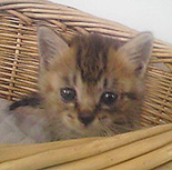f0140271_2102897.jpg