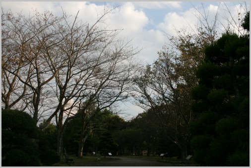 e0114977_235285.jpg