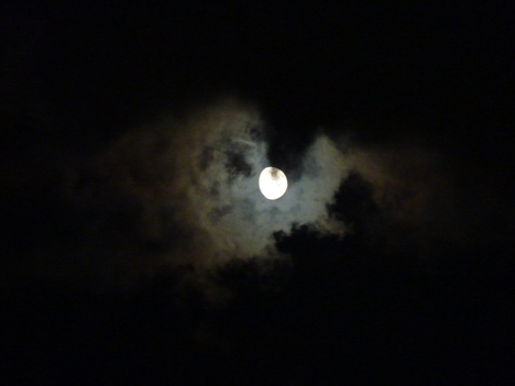 e0207477_0144181.jpg