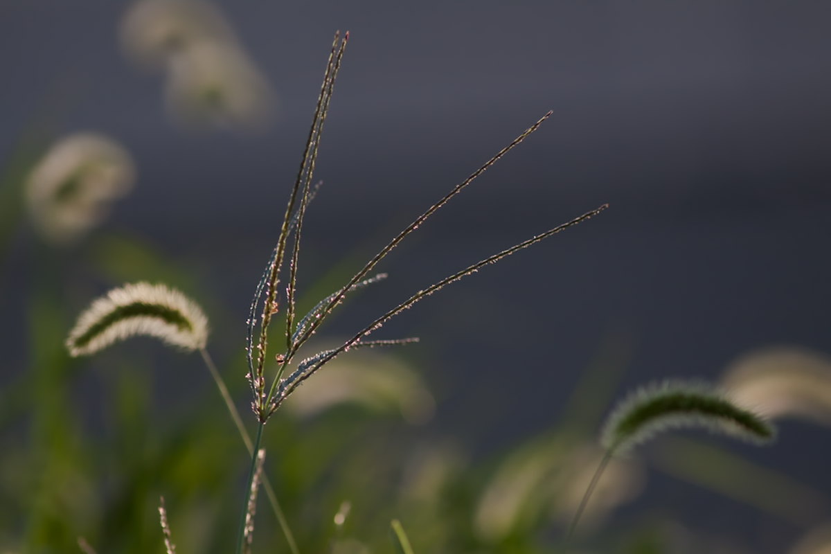 a0083081_186166.jpg