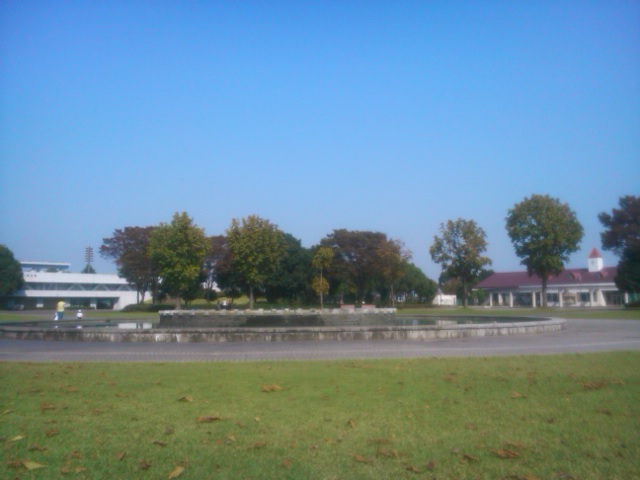 a0067188_913740.jpg