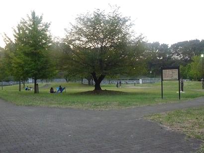 c0123890_20493652.jpg