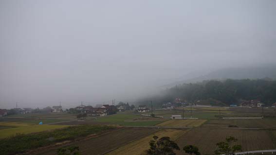 f0222692_20521196.jpg