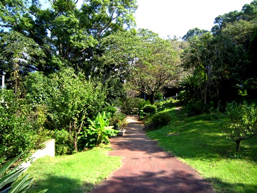 b0192199_20313669.jpg
