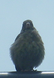 a0203600_234117100.jpg