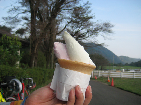 b0097200_21161849.jpg