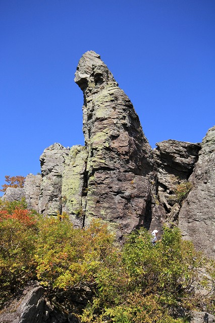 e0137200_19563428.jpg