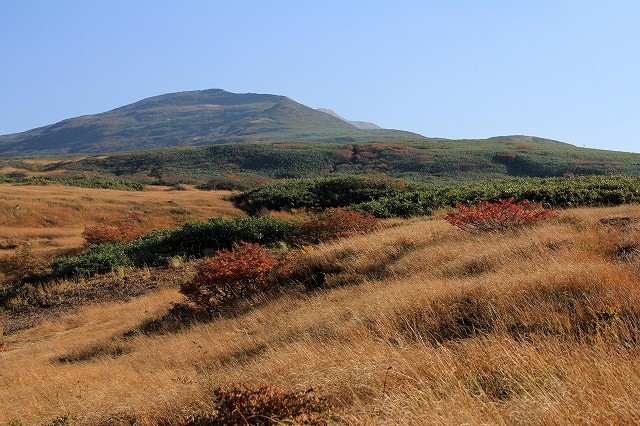 e0137200_2023920.jpg