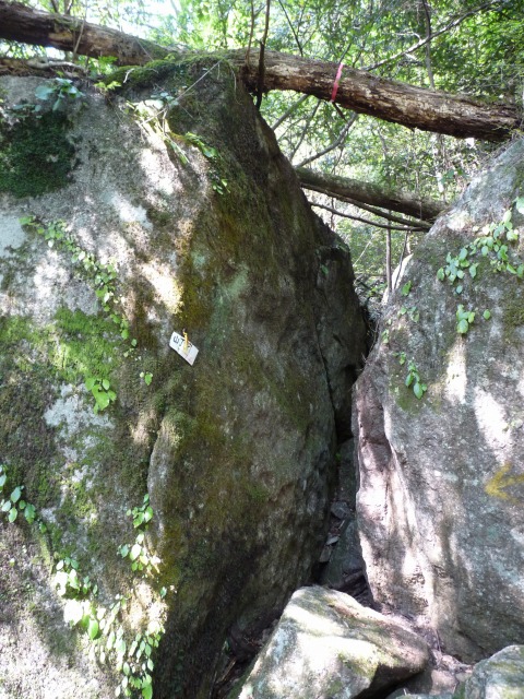 b0025101_23232928.jpg
