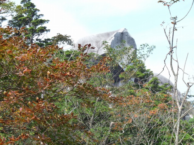 b0025101_23405016.jpg