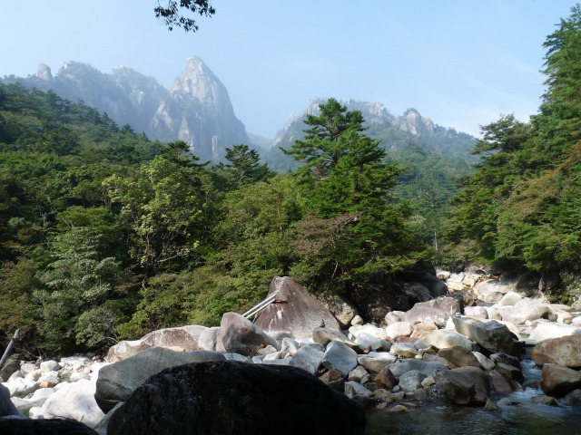 b0025101_5393424.jpg