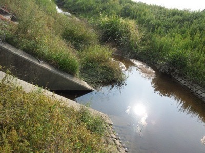 f0082402_9215379.jpg