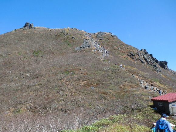 e0242504_855188.jpg