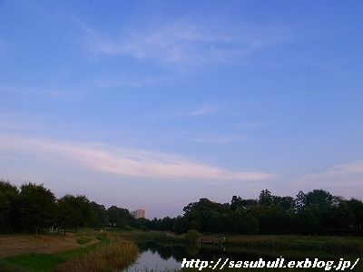 e0145805_20131882.jpg