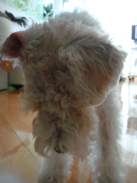 d0200406_1865248.jpg