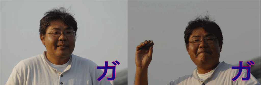 d0070007_931964.gif