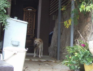 b0075609_132355.jpg