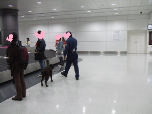 b0075609_13263385.jpg