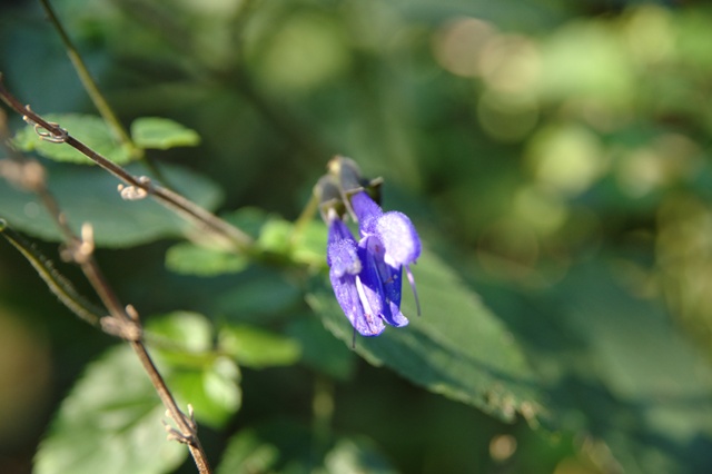 c0143411_2214256.jpg