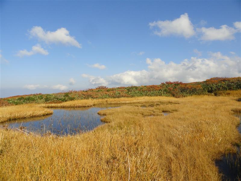 a0127015_945279.jpg
