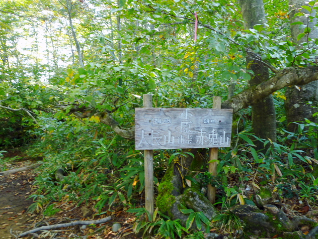 d0170615_7105266.jpg